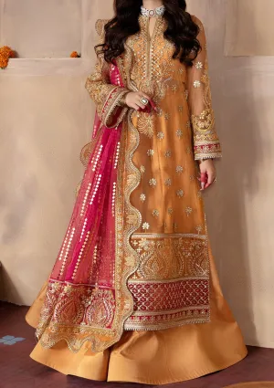 Afrozeh Zuri Pakistani Luxury Net Dress