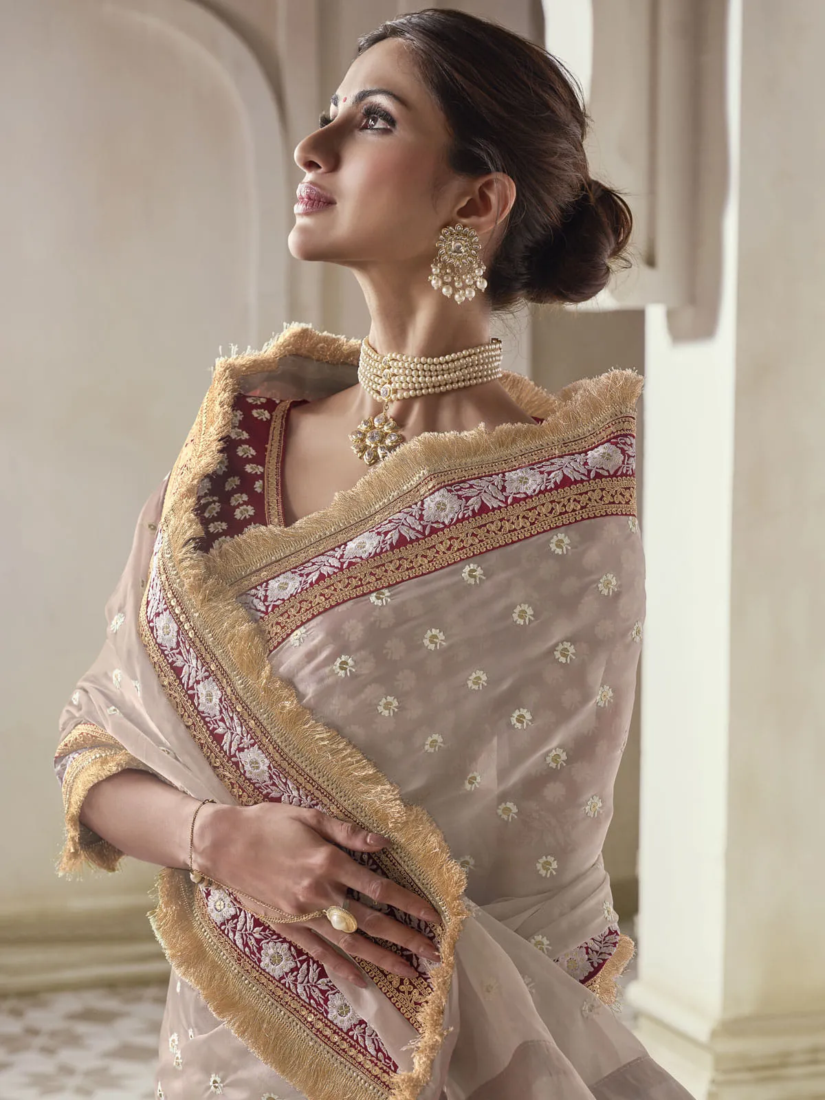 Beige Color Organza Embroidered Classic Saree