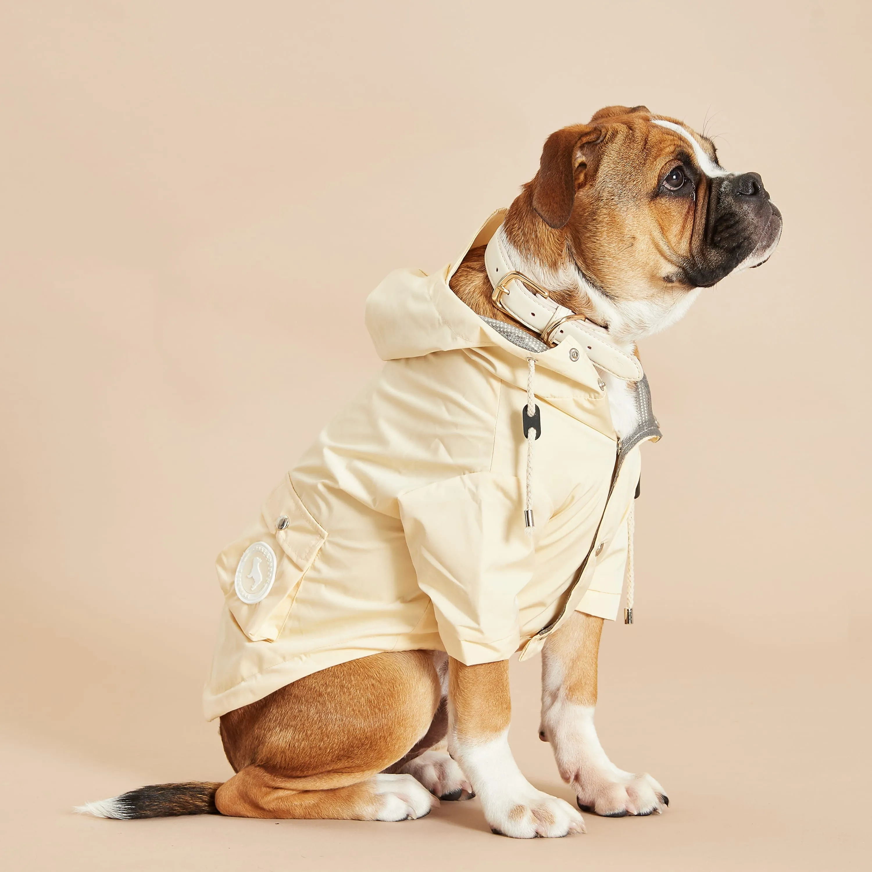 Original Water-Repellant Dog Raincoat | Yellow