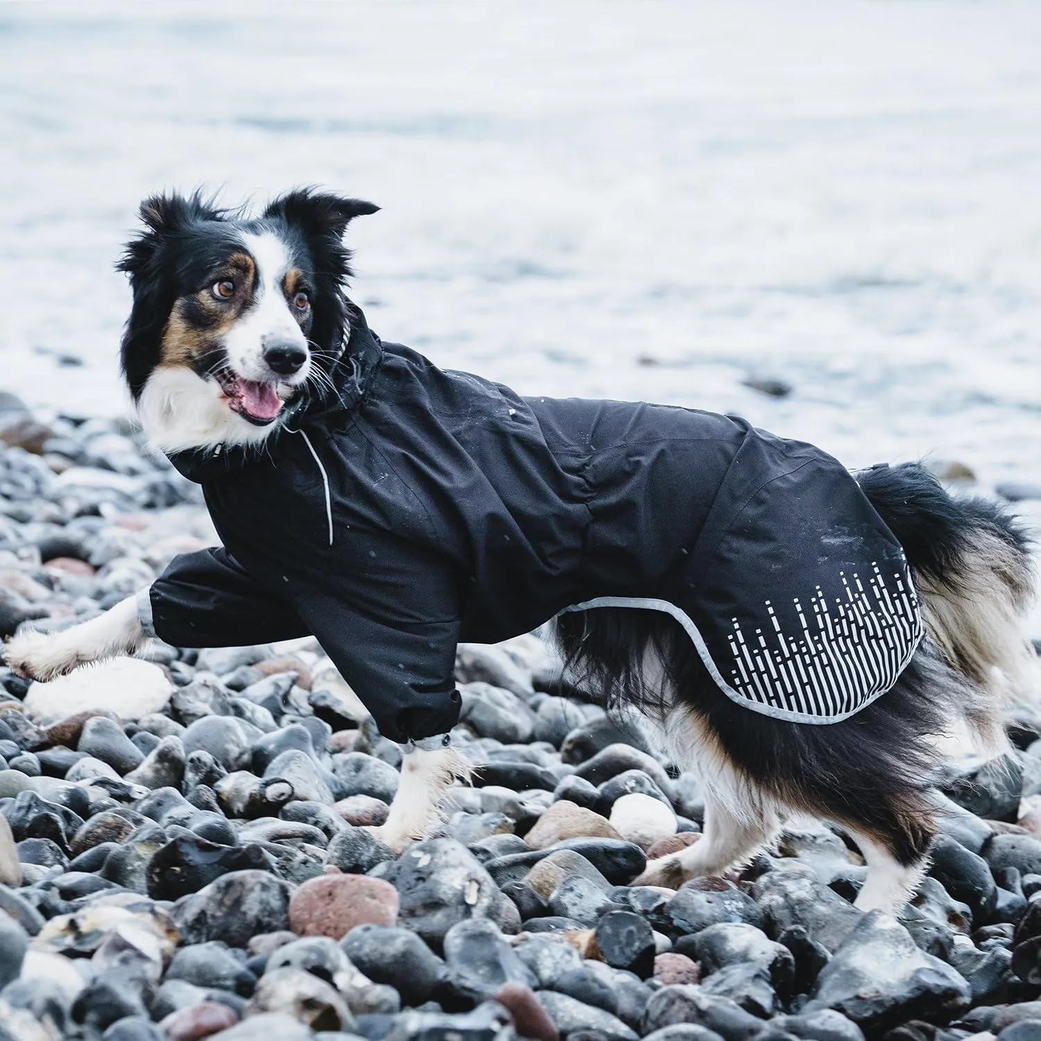 Rain Blocker, Dog Raincoat, Raven, 26 In