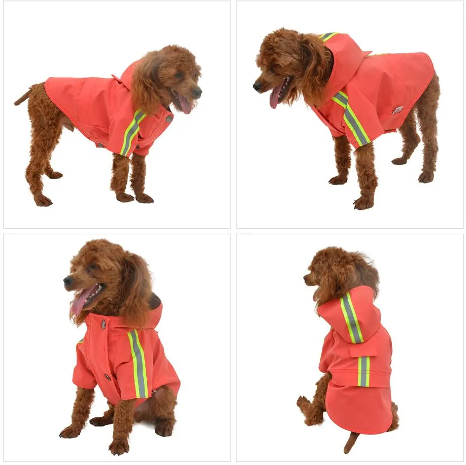 RED Dog Raincoat