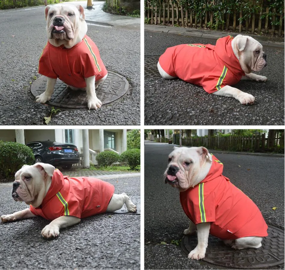 RED Dog Raincoat