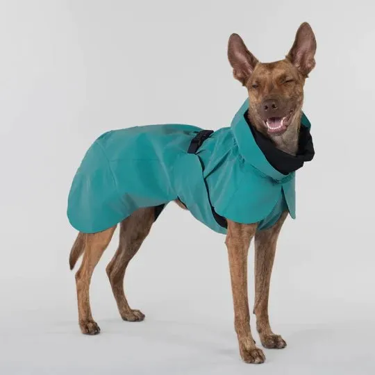 Visibility Raincoat in Emerald