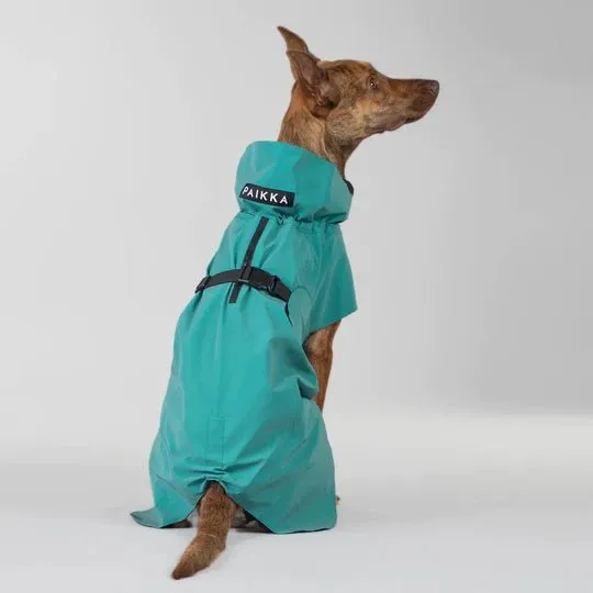 Visibility Raincoat in Emerald