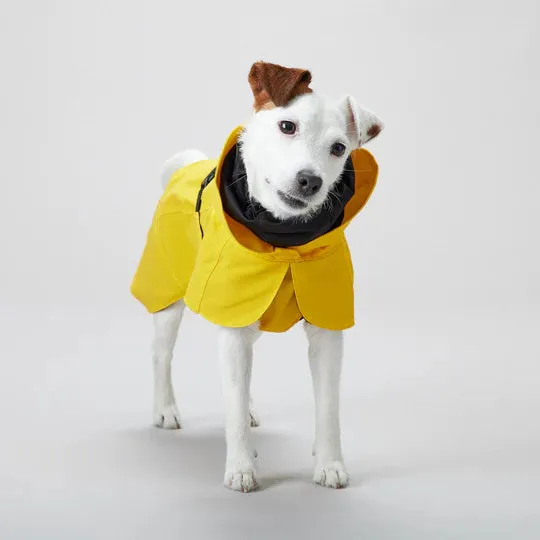 Visibility Raincoat in Yellow